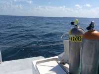 Great day of scuba diving in Key Largo with Rainbow Reef on drift french tropical adventure 2014 08 14 r653 1