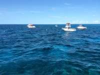 Great day of scuba diving in Key Largo with Rainbow Reef on eagle ray alley tropical adventure 2014 08 09 r625 1