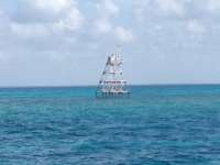 Great day of scuba diving in Key Largo with Rainbow Reef on eagle ray alley tropical adventure 2014 08 21 r681 1