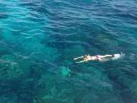 Great day of scuba diving in Key Largo with Rainbow Reef on eagle ray alley tropical adventure 2014 08 21 r681 2