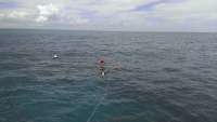 Great day of scuba diving in Key Largo with Rainbow Reef on eagle ray alley tropical adventure 2014 08 28 r711 1