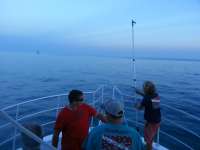 Great day of scuba diving in Key Largo with Rainbow Reef on eagle ray alley tropical odyssey 2014 08 14 r657 1
