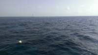 Great day of scuba diving in Key Largo with Rainbow Reef on fire coral cave tropical adventure 2014 08 18 r672 1