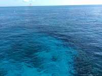Great day of scuba diving in Key Largo with Rainbow Reef on fire coral cave tropical odyssey 2014 08 06 r606 1