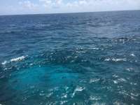 Great day of scuba diving in Key Largo with Rainbow Reef on fire coral cave tropical odyssey 2014 08 31 r726 1