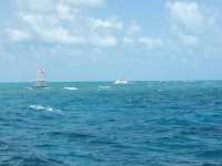 Great day of scuba diving in Key Largo with Rainbow Reef on fire coral cave tropical odyssey 2014 08 31 r726 2