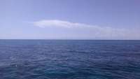 Great day of scuba diving in Key Largo with Rainbow Reef on french twist tropical voyager 2014 08 09 r631 1