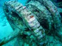 Great day of scuba diving in Key Largo with Rainbow Reef on hole in the wall tropical odyssey 2014 08 01 r577 1