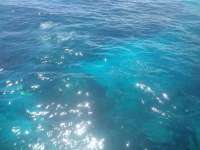 Great day of scuba diving in Key Largo with Rainbow Reef on hole in the wall tropical odyssey 2014 08 07 r614 2