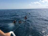 Great day of scuba diving in Key Largo with Rainbow Reef on molasses reef tropical adventure 2014 08 11 r637 3