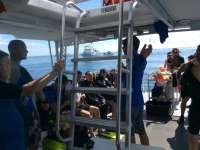 Great day of scuba diving in Key Largo with Rainbow Reef on molasses reef tropical odyssey 2014 08 06 r607 1