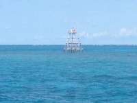 Great day of scuba diving in Key Largo with Rainbow Reef on molasses reef tropical odyssey 2014 08 09 r628 2