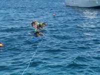 Great day of scuba diving in Key Largo with Rainbow Reef on molasses reef tropical voyager 2014 08 15 r661 1