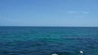 Great day of scuba diving in Key Largo with Rainbow Reef on north dry rocks tropical adventure 2014 08 09 r629 1