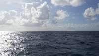Great day of scuba diving in Key Largo with Rainbow Reef on north star tropical adventure 2014 08 31 r721 1