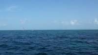 Great day of scuba diving in Key Largo with Rainbow Reef on north star tropical odyssey 2014 08 16 r662 1