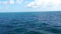 Great day of scuba diving in Key Largo with Rainbow Reef on north star tropical odyssey 2014 08 27 r707 1