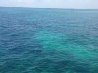 Great day of scuba diving in Key Largo with Rainbow Reef on pickle barrel wreck tropical odyssey 2014 08 15 r659 2