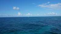 Great day of scuba diving in Key Largo with Rainbow Reef on pickles reef tropical adventure 2014 08 01 r574 1