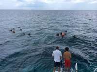 Great day of scuba diving in Key Largo with Rainbow Reef on sand island tropical adventure 2014 08 25 r701 1