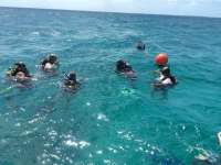 Great day of scuba diving in Key Largo with Rainbow Reef on sand island tropical adventure 2014 08 27 r708 1