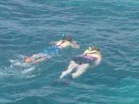 Great day of scuba diving in Key Largo with Rainbow Reef on snapper ledge tropical odyssey 2014 08 08 r621 1
