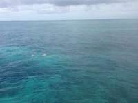 Great day of scuba diving in Key Largo with Rainbow Reef on snapper ledge tropical odyssey 2014 08 08 r621 2