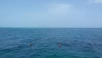Great day of scuba diving in Key Largo with Rainbow Reef on snapper ledge tropical odyssey 2014 08 16 r666 1