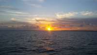 Great day of scuba diving in Key Largo with Rainbow Reef on snapper ledge tropical odyssey 2014 08 21 r682 1
