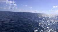 Great day of scuba diving in Key Largo with Rainbow Reef on snapper ledge tropical voyager 2014 08 01 r575 1