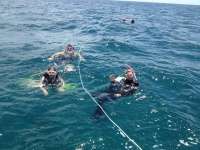 Great day of scuba diving in Key Largo with Rainbow Reef on spanish anchor tropical odyssey 2014 08 26 r704 1
