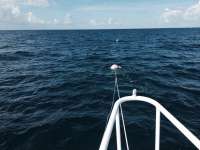 Great day of scuba diving in Key Largo with Rainbow Reef on spiegel grove tropical adventure 2014 08 05 r602 1