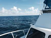 Great day of scuba diving in Key Largo with Rainbow Reef on spiegel grove tropical adventure 2014 08 05 r602 2