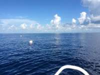 Great day of scuba diving in Key Largo with Rainbow Reef on spiegel grove tropical adventure 2014 08 07 r611 2