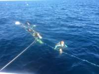 Great day of scuba diving in Key Largo with Rainbow Reef on spiegel grove tropical adventure 2014 08 24 r695 1