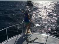Great day of scuba diving in Key Largo with Rainbow Reef on spiegel grove tropical adventure 2014 08 26 r703 1