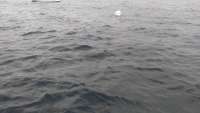 Great day of scuba diving in Key Largo with Rainbow Reef on spiegel grove tropical explorer 2014 08 08 r618 1