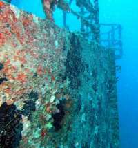 Great day of scuba diving in Key Largo with Rainbow Reef on spiegel grove tropical odyssey 2014 08 28 r709 2