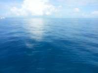 Great day of scuba diving in Key Largo with Rainbow Reef on spiegel grove tropical voyager 2014 08 02 r580 1