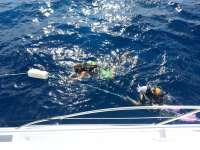 Great day of scuba diving in Key Largo with Rainbow Reef on spiegel grove tropical voyager 2014 08 10 r635 1