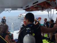Great day of scuba diving in Key Largo with Rainbow Reef on uscgc duane tropical adventure 2014 08 08 r617 1