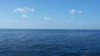 Great day of scuba diving in Key Largo with Rainbow Reef on uscgc duane tropical adventure 2014 08 15 r658 1