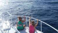 Great day of scuba diving in Key Largo with Rainbow Reef on uscgc duane tropical adventure 2014 08 29 r714 1