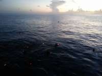 Great day of scuba diving in Key Largo with Rainbow Reef on winch hole tropical odyssey 2014 08 07 r616 1