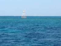 Great day of scuba diving in Key Largo with Rainbow Reef on winch hole tropical odyssey 2014 08 25 r699 1