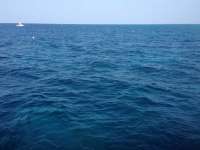 Great day of scuba diving in Key Largo with Rainbow Reef on winch hole tropical odyssey 2014 08 25 r699 2