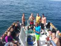 Great day of scuba diving in Key Largo with Rainbow Reef on woodys tropical voyager 2014 08 16 r667 1