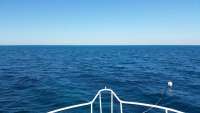 Great day of scuba diving in Key Largo with Rainbow Reef on benwood wreck tropical adventure 2014 12 17 r1043 1