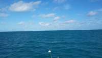 Great day of scuba diving in Key Largo with Rainbow Reef on christ statue tropical adventure 2014 12 06 r1012 1