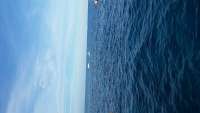 Great day of scuba diving in Key Largo with Rainbow Reef on christ statue tropical voyager 2014 12 30 r1099 1